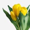 Sztuczne tulipany w wazonie, żółte, 25 cm - 2