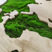 Obraz GREEN MAP 70x100 cm - 2