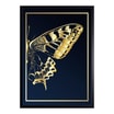 Obraz GOLD FLANK II 63x83 cm - 1