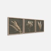 Obrazy na ścianę WALL PAMPAS 30x30 cm - 5