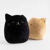 Pictures 4