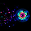 Taśma LED RGB 100 diod 10 m z pilotem MAGIC LAMPS - 1
