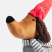 Pictures 2