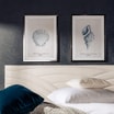 Obraz TROPICAL SHELLS II 50x70 cm - 2