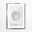 Obraz TROPICAL SHELLS II 50x70 cm - 1