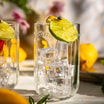 Przezroczysta szklanka z kostkami lodu ozdobiona plasterkiem limonki, ustawiona wśród cytryn i kwiatów.