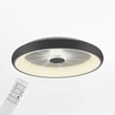 Plafon LED 37W czarny VERTIGO z pilotem fi 61,5 cm - 1