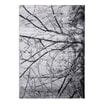 Dywan SPAZZIO SREBRNY 200x300 cm - 1