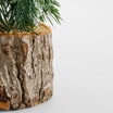 Dekoracja CHOINKA W CZAPCE, zielono-czerwona, 30 cm - 3
