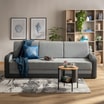 Szara sofa z niebieską poduszką i kocem, obok stolik kawowy, regał z dekoracjami oraz grafiki z muszlami na ścianie.