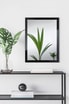 Lustro 50x70 cm w czarnej ramie SLIM - 2