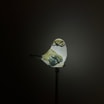 Lampa outdoorowa solarna LED IP44 kolorowy PTAK - 2