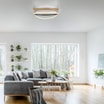 Lampa sufitowa LED Wi-Fi czarno-złota Q-BELUGA z pilotem - 5
