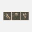Obrazy na ścianę WALL PAMPAS 30x30 cm - 1