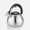 Czajnik z gwizdkiem, srebrny, 3000 ml - 1
