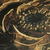 Obraz do salonu ISABELLA 70x100 cm - 4