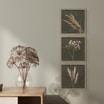 Obrazy na ścianę WALL PAMPAS 30x30 cm - 2