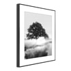 Obraz FOGGY TREE ARTBOX DIGI 50x70 cm - 4