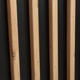 dot-6