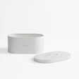 dot-1