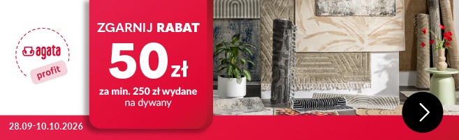 Dywany do salonu duże baner