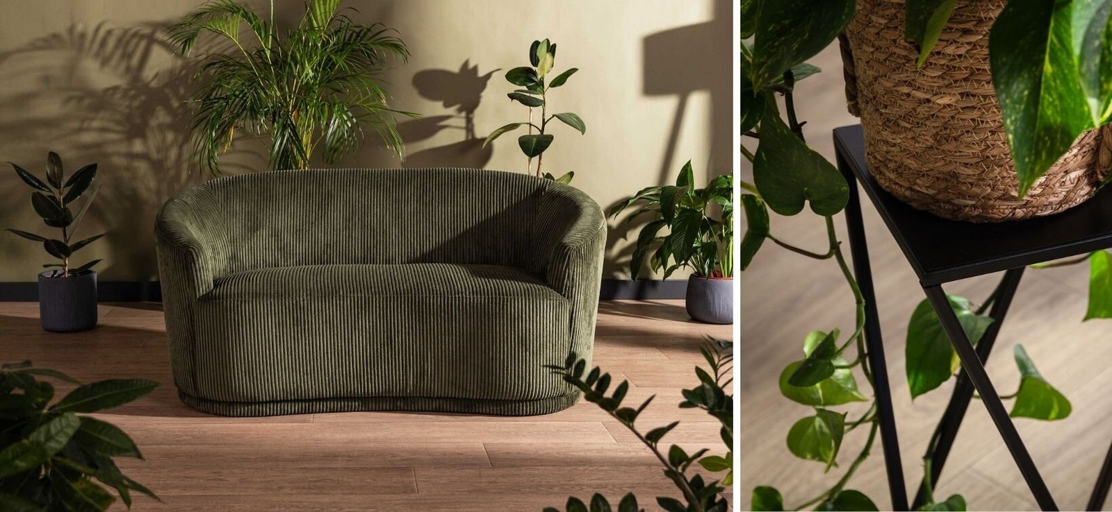 Biophilic design – co to jest i jak wyznacza trendy wnętrzarskie?