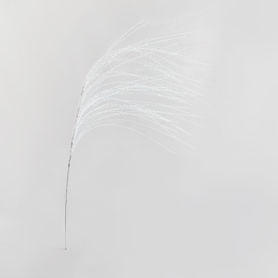 Gałązka dekoracyjna, biała, 117 cm