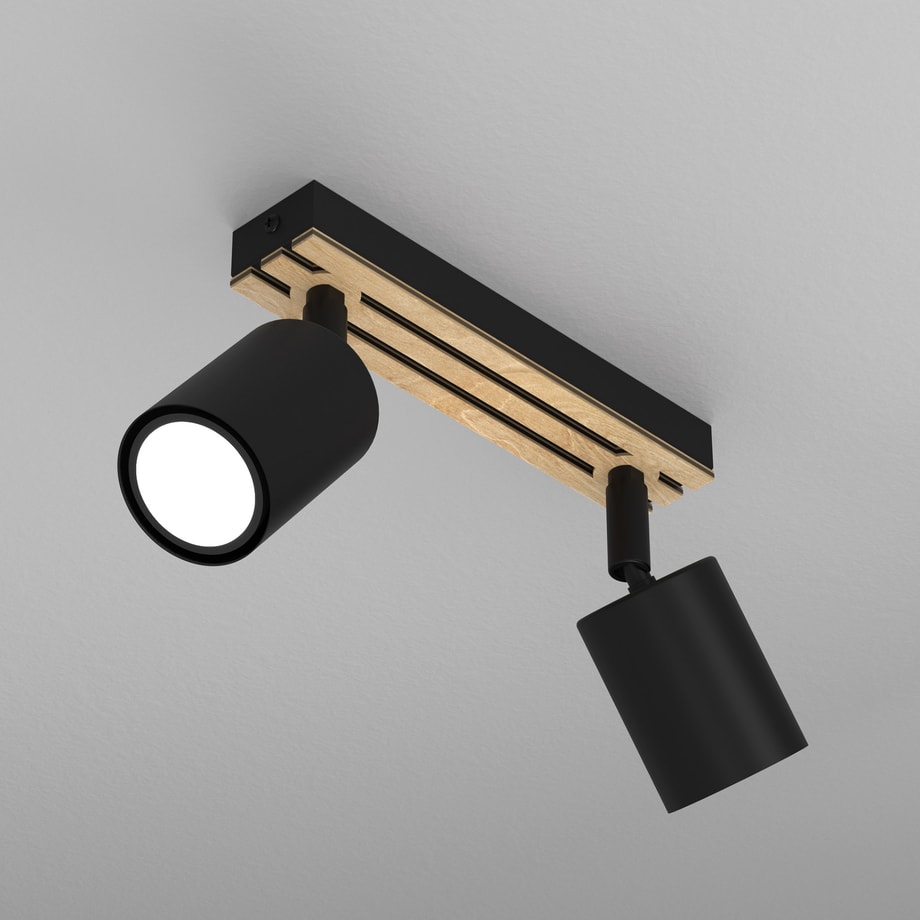 Spot sufitowy z 2 reflektorami czarny TERRA II 