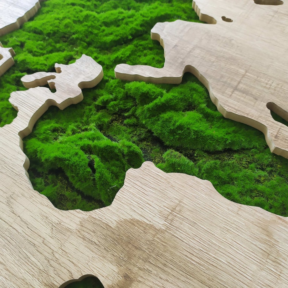 Obraz GREEN MAP 70x100 cm