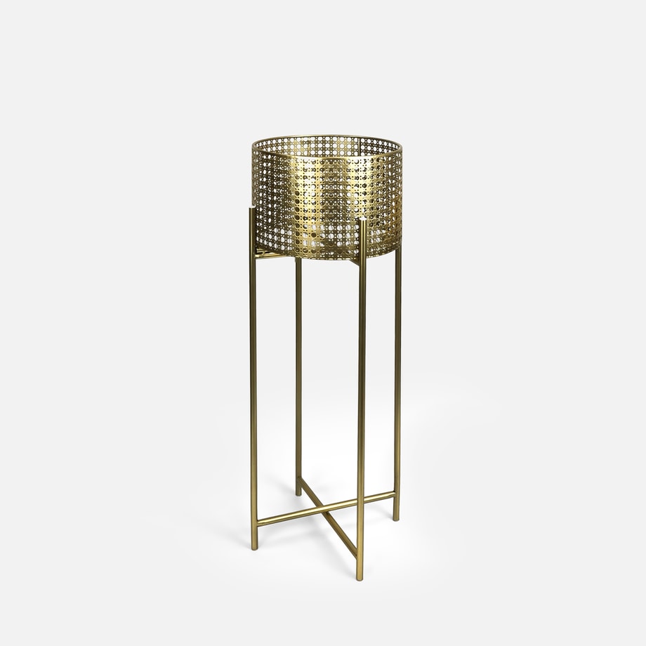 Kwietnik złoty 50 cm