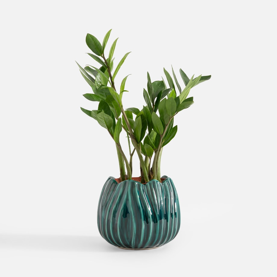 Osłonka na doniczkę, zielona, 17 cm