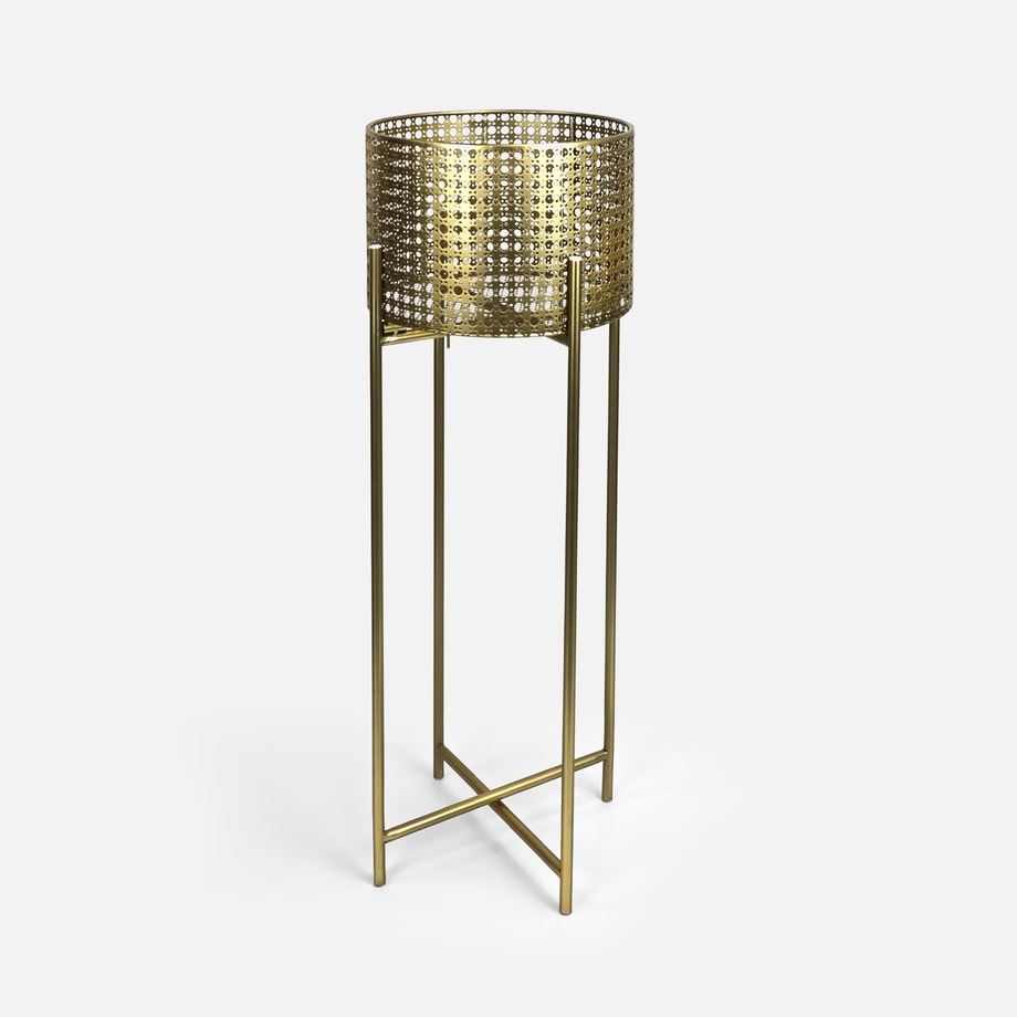 Kwietnik złoty 63 cm
