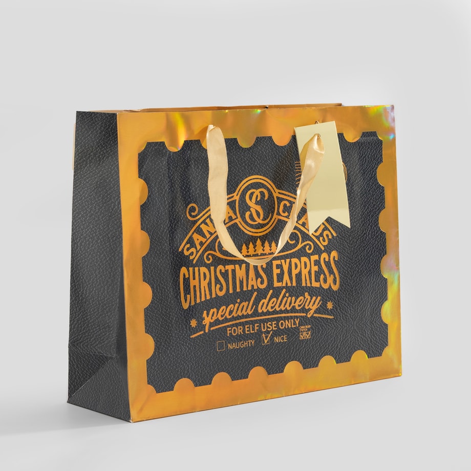 Torba prezentowa, CHRISTMAS EXPRESS, 26 cm, MIX