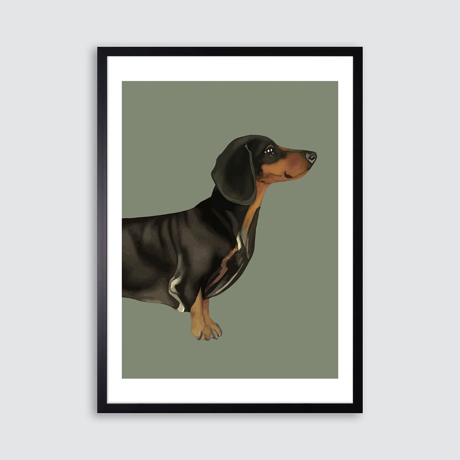 Obraz w czarnej ramie DASCHUND II 50x70 cm - 1