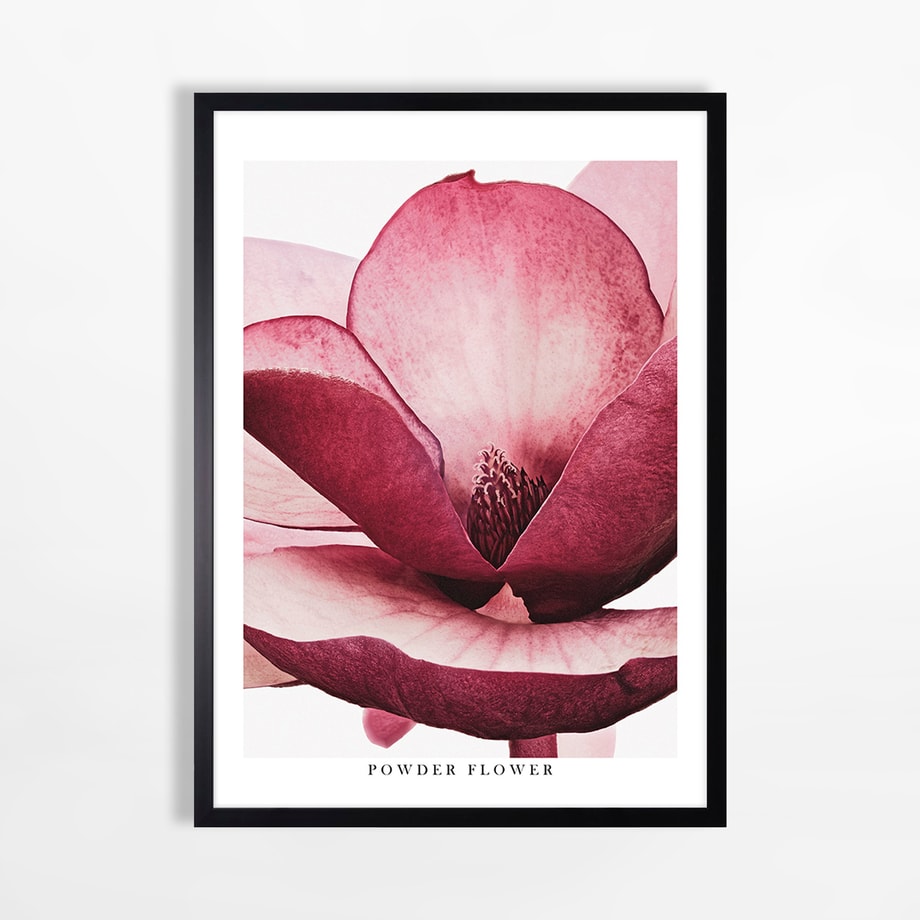 Obraz do salonu FLOWER I 50x70 cm - 1