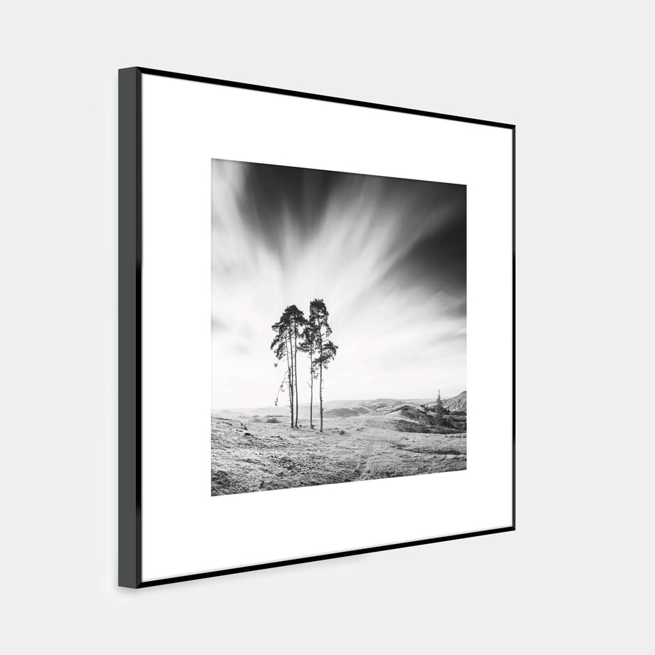 Obraz ARTBOX TREES 50x50 cm - 5