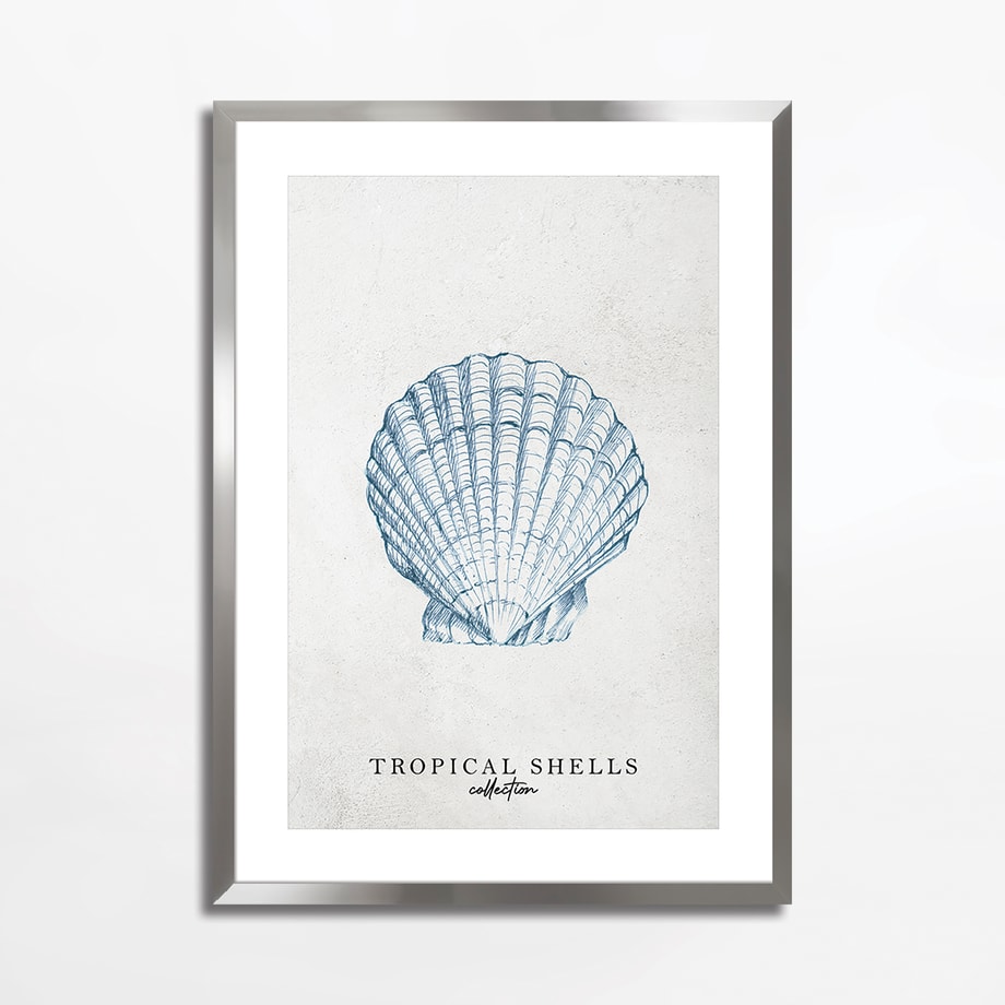 Obraz TROPICAL SHELLS II 50x70 cm - 1