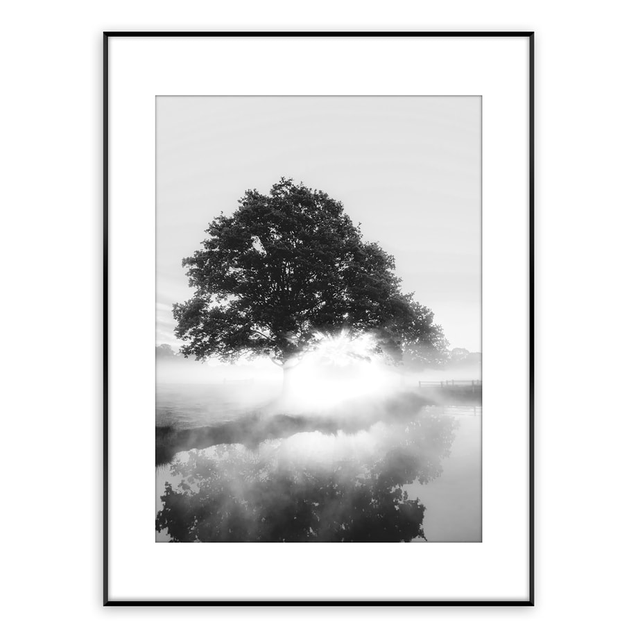 Obraz FOGGY TREE ARTBOX DIGI 50x70 cm - 1
