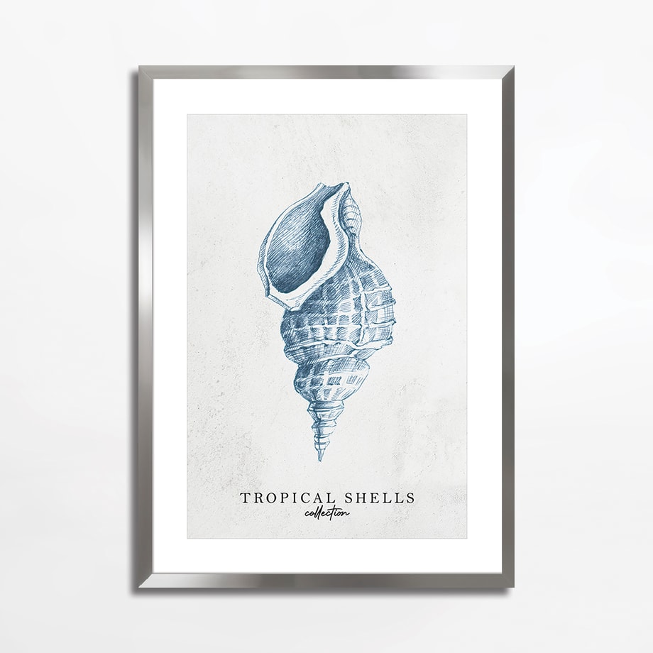 Obraz TROPICAL SHELLS I 50x70 cm - 1