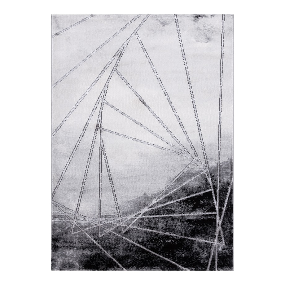 Dywan SPAZZIO SREBRNY 200x300 cm - 1