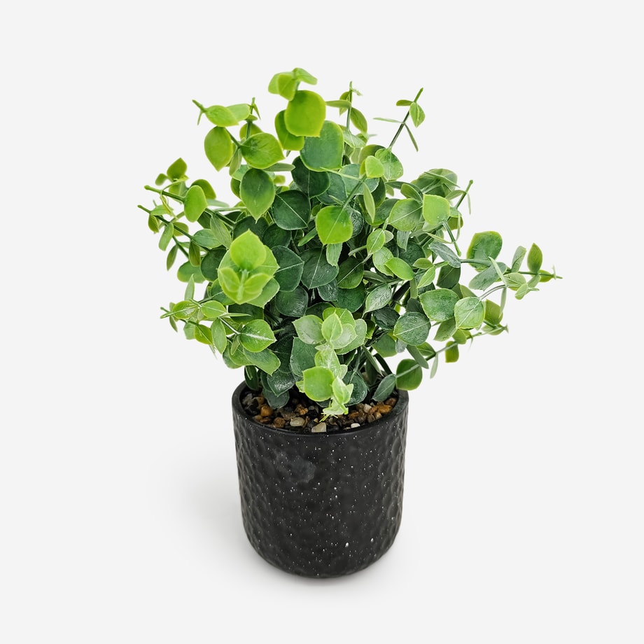 Sztuczna roślina w czarnej doniczce 27 cm - 1