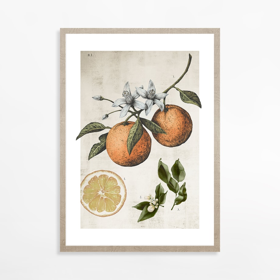 Obraz ORANGE LIFE CYCLE 21x30 cm - 1