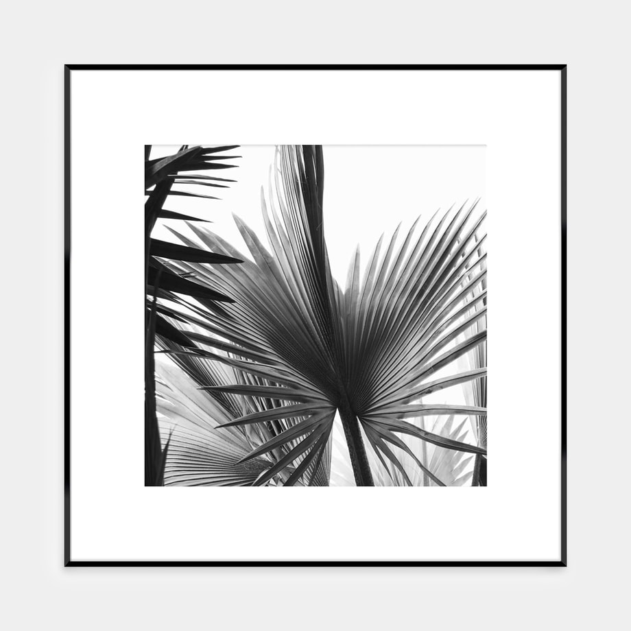 Obraz ARTBOX LEAVES 50x50 cm - 1