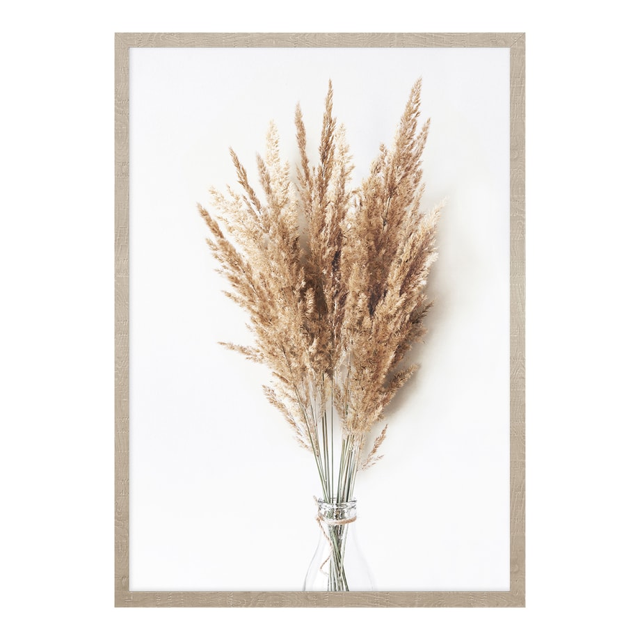Obraz PAMPAS GRASS II 53x73 cm - 1