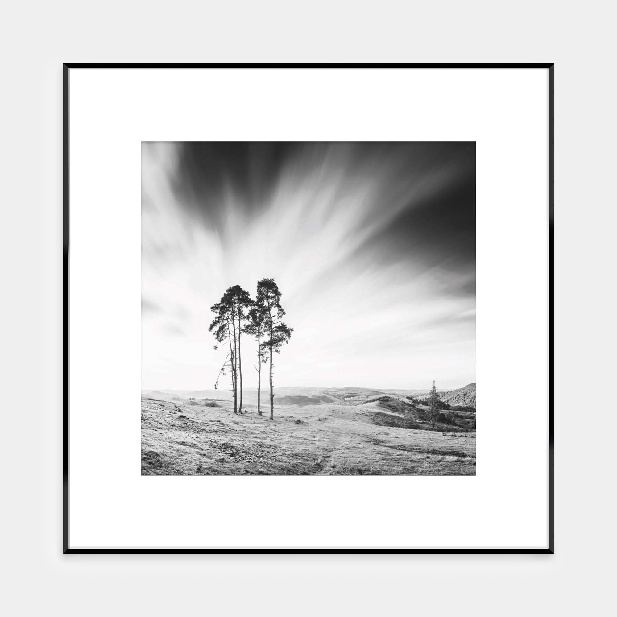 Obraz Artbox Trees 50x50 cm