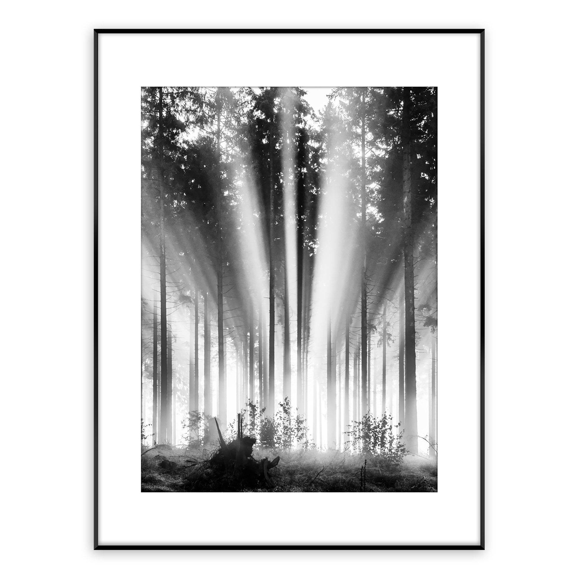 Obraz Fog And Sun Artbox Digi 50x70 cm