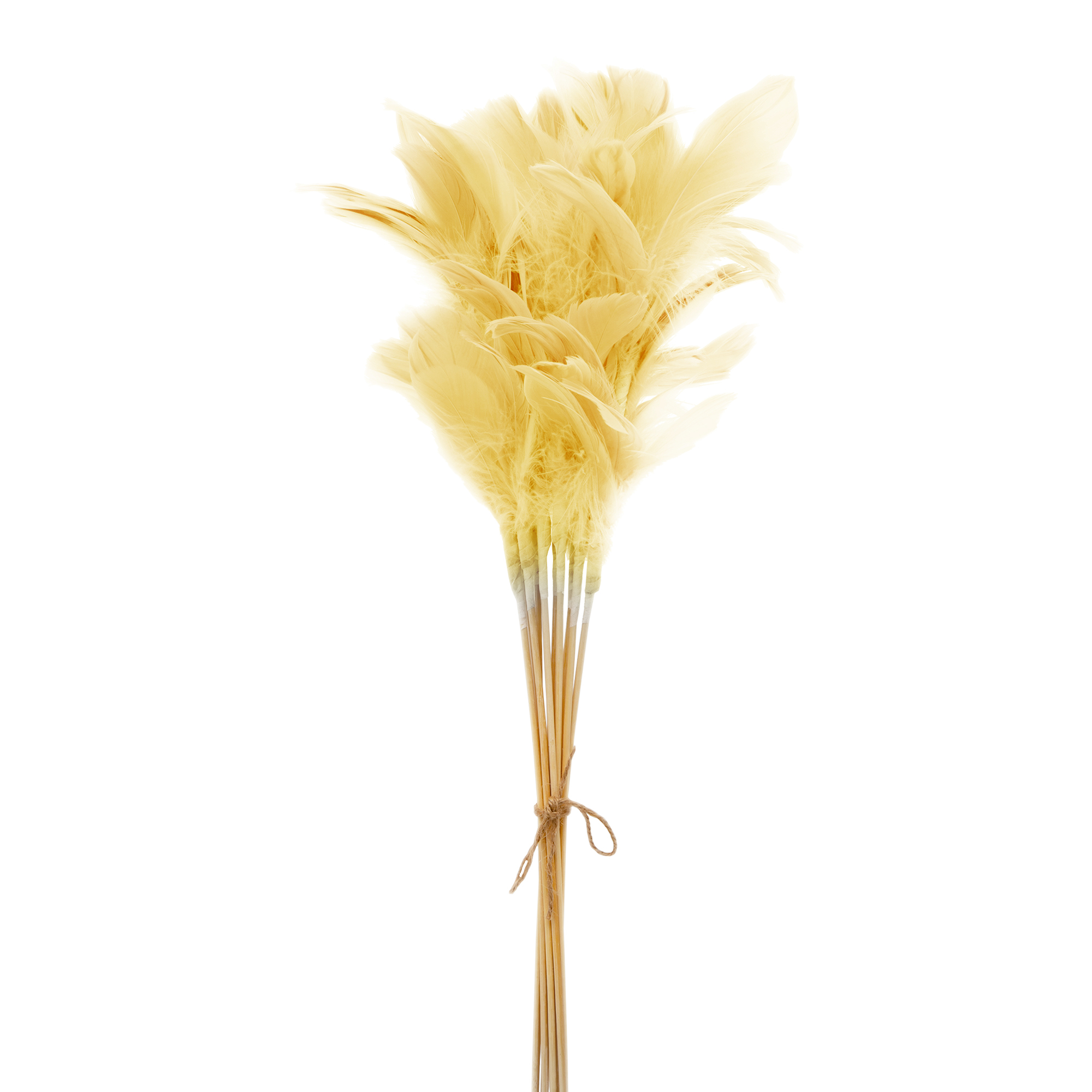 Gałązka Dekoracyjna Pióra Żółte 72 cm, 12 Szt.